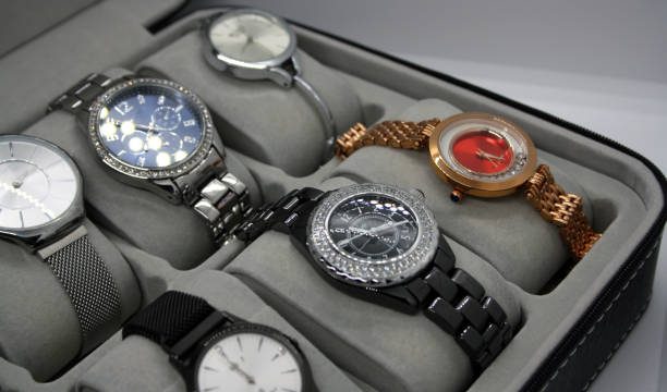 Terrific Watch Cases for Travelers