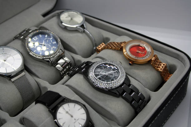 Terrific Watch Cases for Travelers