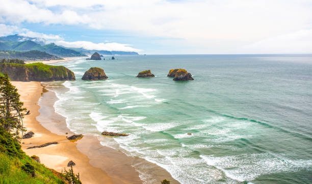Our Top Picks for Beachfront Accommodations in Oregon